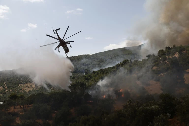 Φωτιά σε δασική έκταση στην Αλεξανδρούπολη